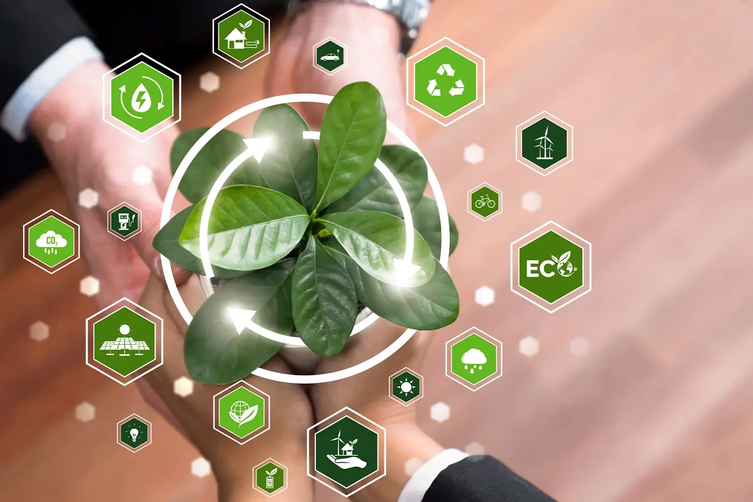 COGEQUASA: certificação ISO 14001